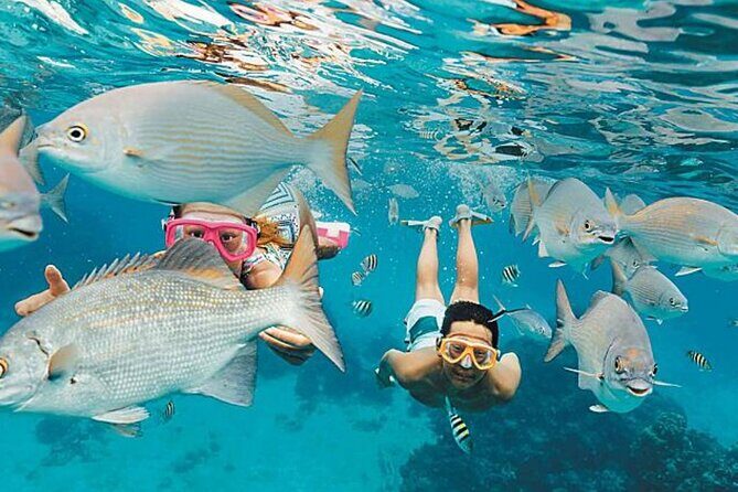 El Cielo Palancar and Columbia Snorkeling Tour - In-Depth Review of the Tour Experience