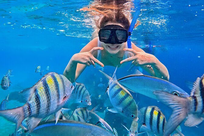 El Cielo Snorkeling Tour and The Top Reefs of Cozumel - A Snorkeler’s Dream on Cozumel: El Cielo and the Top Reefs
