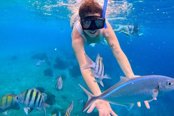 El Cielo Snorkeling Tour and The Top Reefs of Cozumel - How Does it Compare in Terms of Value?