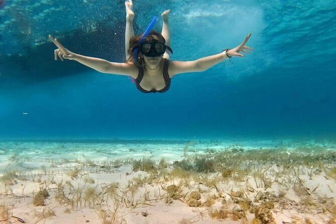 El Cielo Snorkeling Tour and The Top Reefs of Cozumel - FAQ