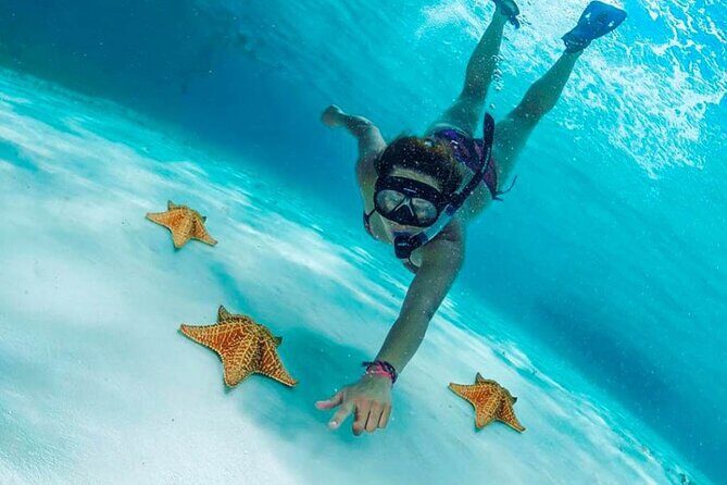 El Cielo the Breathtaking Snorkel Tour of Cozumel Cielito Beach & Lunch Included - Key Points