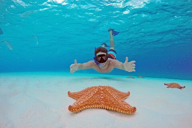 El Cielo the Breathtaking Snorkel Tour of Cozumel Cielito Beach & Lunch Included - Who Will Love This Tour