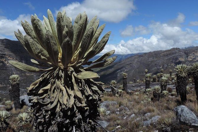 El Cocuy National Park 3-day hike from Bogota - Who Will Enjoy This Tour?