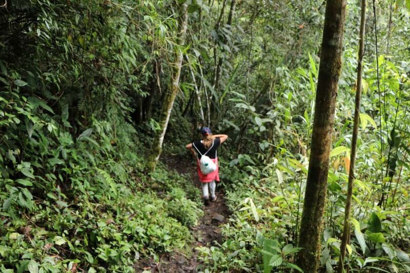 El Encanto: natural paradise & birdwatching in the heart of Colombia - Getting There and First Impressions