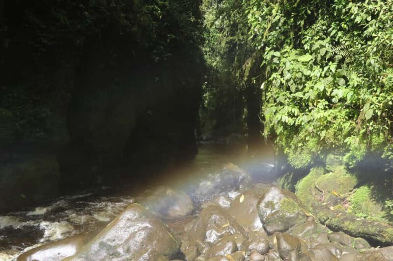 El Encanto: natural paradise & birdwatching in the heart of Colombia - The Trails and Observation Infrastructure