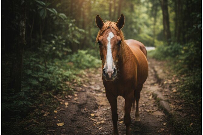 El Limón Waterfall Guided Hike and Horseback Adventure in RD - A Detailed Look at the Tour Experience