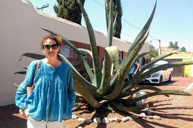 El mejor Tour Privado, Piramides de Teotihuacán y Basílica. ! - Frequently Asked Questions