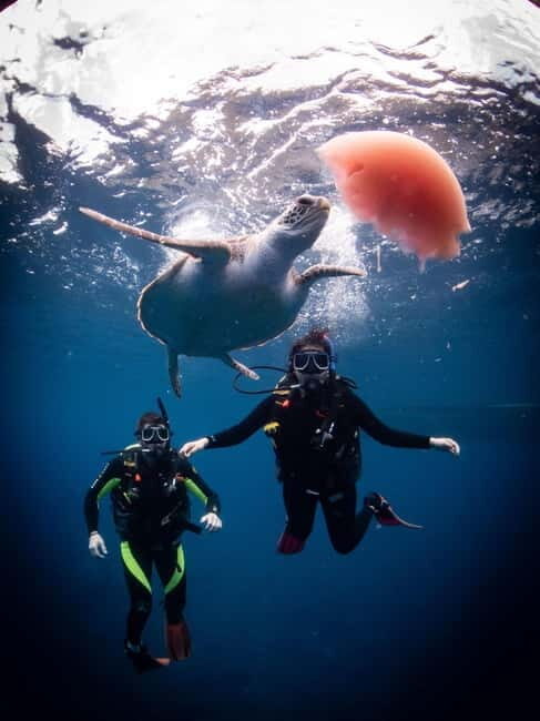 El Nido: Deep Blue Dive Seafari Experience - Who Is It Best For?