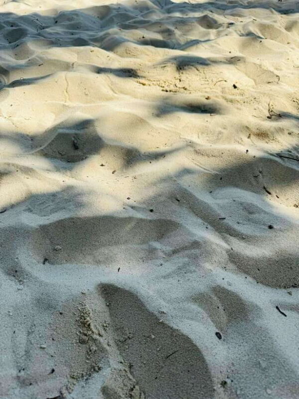 El Nido: Island Hopping TOUR A with Lunch, Transfer & EDTF - Final Thoughts