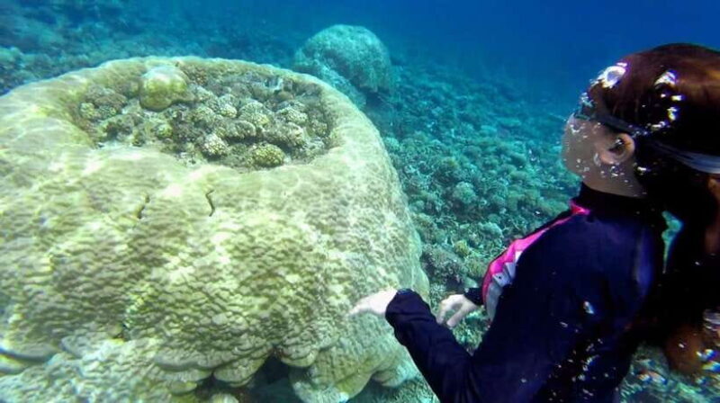 El Nido: Island Hopping Tour B Cudognong Cave & More - What to Expect from the Tour