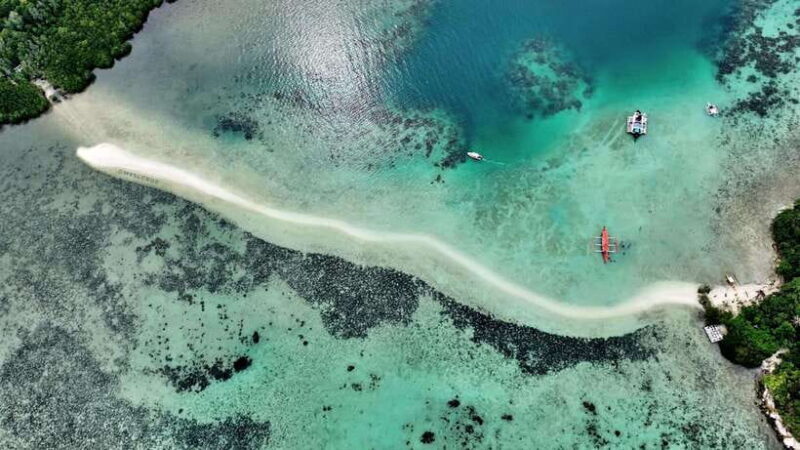 El Nido: Snake Island and Cave Tour with Island Lunch - Key Points