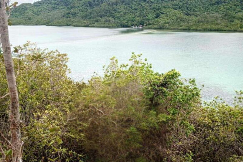 El Nido: Tour B with Snake Island, Cudugnon Cave, and More - Beaches and Snorkeling at Popolkan Rocks & Entalula Island