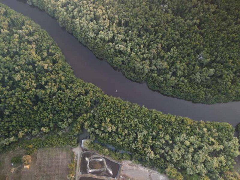 El Paredón: Sea Turtle and Salt Farm Tour - Who Should Consider This Tour?