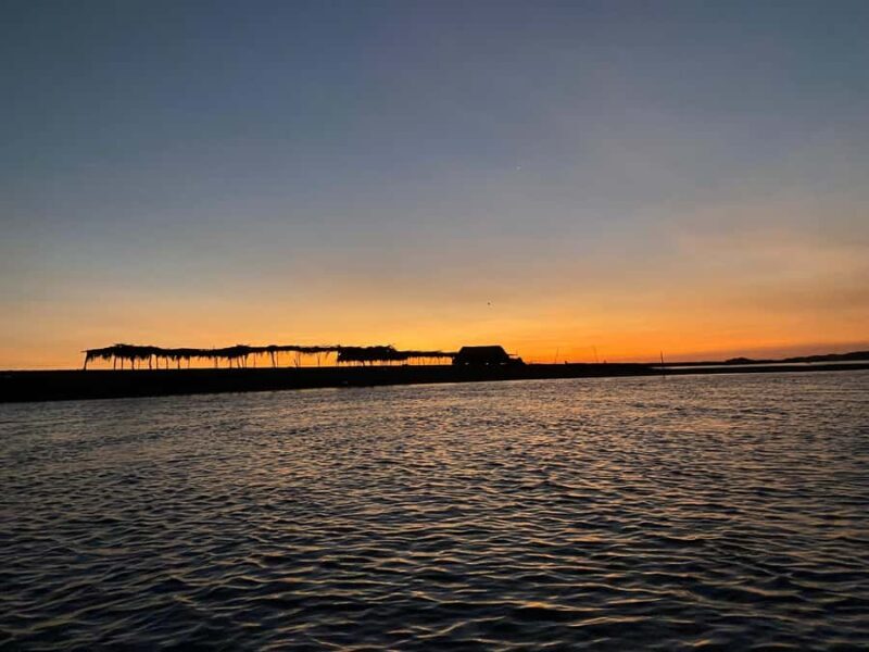 El Paredón: Sea Turtle and Salt Farm Tour - Final Thoughts