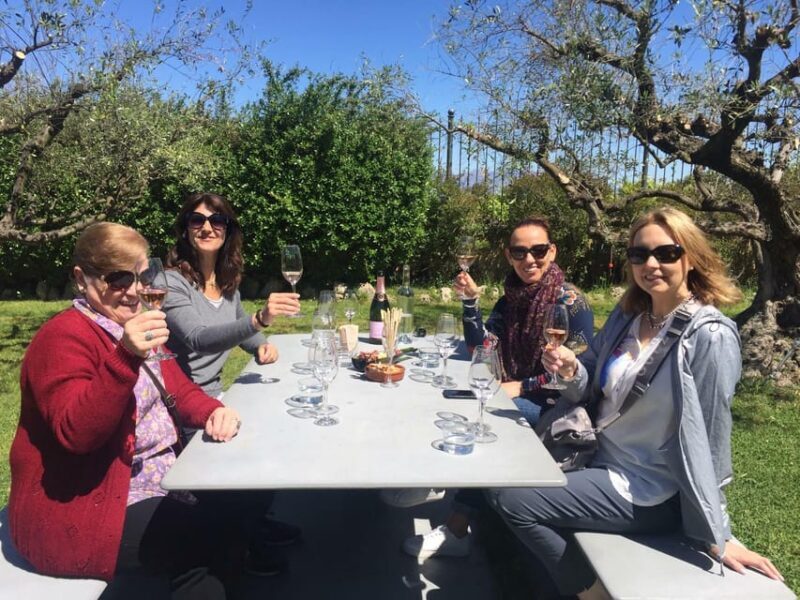 El Penedès: Cava Winery Small Group Tour - The Experience in Detail