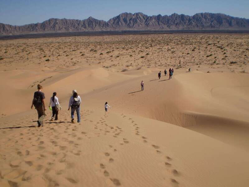 El pinacate: 4-day tour of the craters and Altar desert - Who Will Love This Tour?