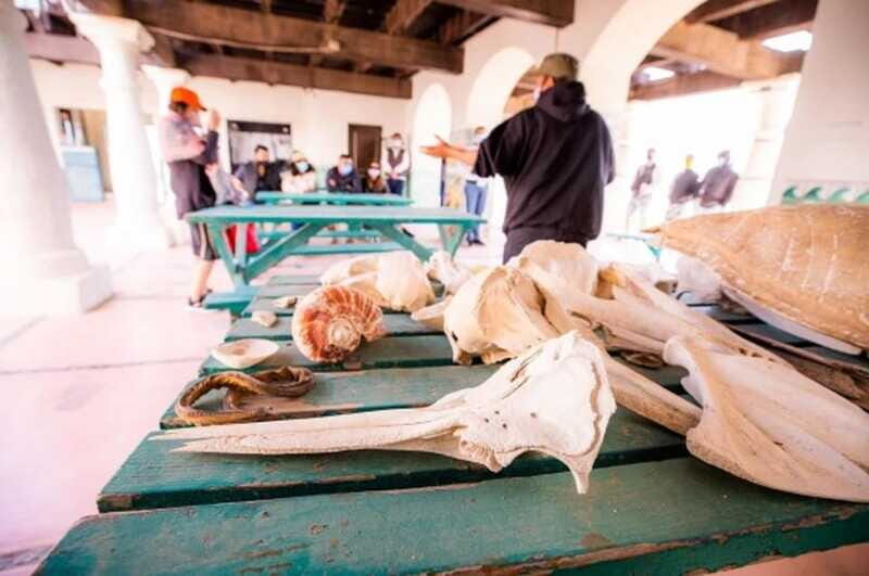 El Pinacate: 5-day tour to the craters and the Altar desert - The Value of the Experience