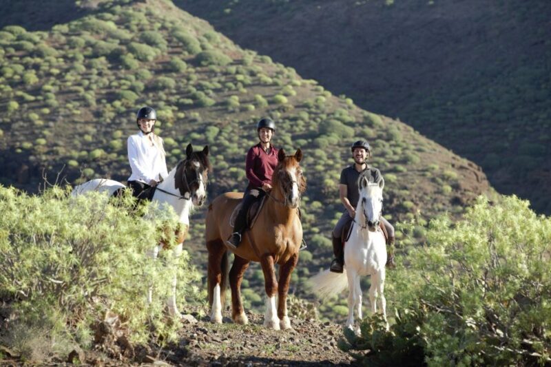 El Salobre: Horse Riding Adventure with Transfer Options - The Itinerary: What to Expect on the Trail