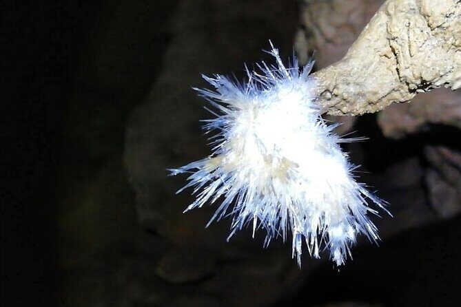 El Soplao Cave Visit with entrance ticket- small groups - What to Expect During Your Visit