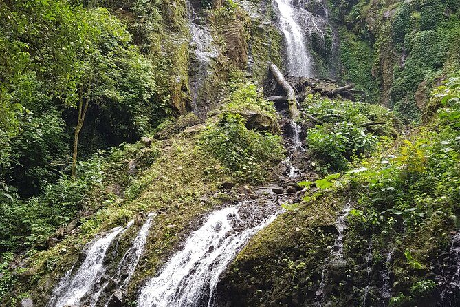 El Tigre Waterfalls Hiking Tour with Lunch and Nature Guide - An Introduction to El Tigre Waterfalls
