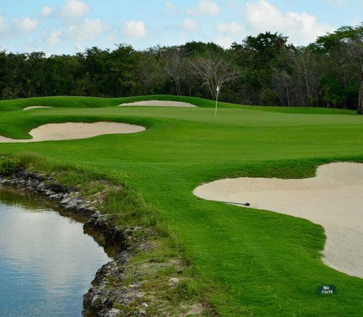 El tinto Golf Course | Tee time in Cancun - Pricing and Value