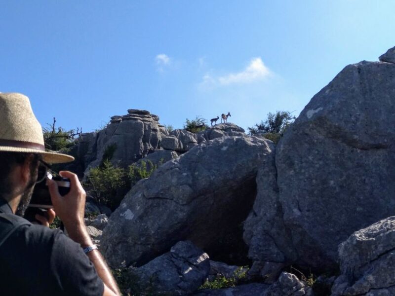 El Torcal de Antequera Hike with Transfer - Who Will Love This Tour?