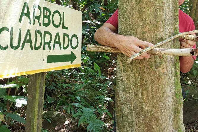 El Valle de Anton - Hiking and Swimming - Exploring the Heart of Panama: A Deep Dive into the Tour