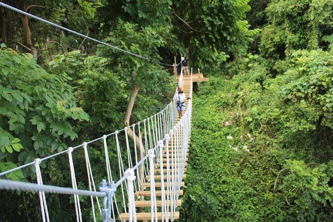 El Yunque Adventure Trail - Discover the El Yunque Adventure Trail: A Family-Friendly Rainforest Excursion in Puerto Rico