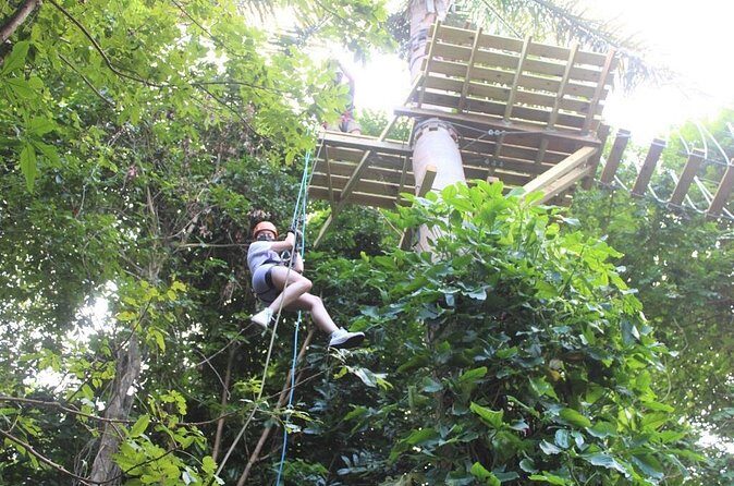 El Yunque Adventure Trail - The Bottom Line: Is It Worth It?