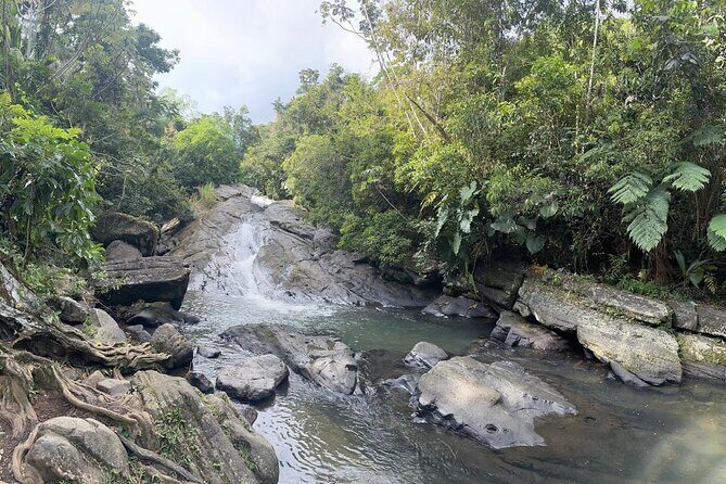 El Yunque & Beach Tour: Waterslide, Waterfall, Food, & Photos - A Deep Dive into the El Yunque & Beach Tour