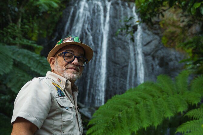 El Yunque Educational Rainforest Walk Easy and Family Friendly - A Detailed Look at the El Yunque Educational Rainforest Walk