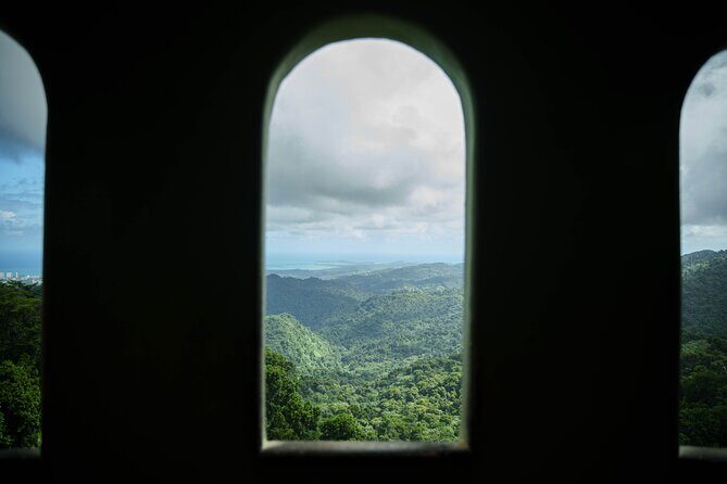 El Yunque Educational Rainforest Walk Easy and Family Friendly - What We Loved About This Tour