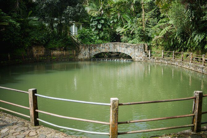 El Yunque Educational Rainforest Walk Easy and Family Friendly - Conclusions: Why Choose This Tour?