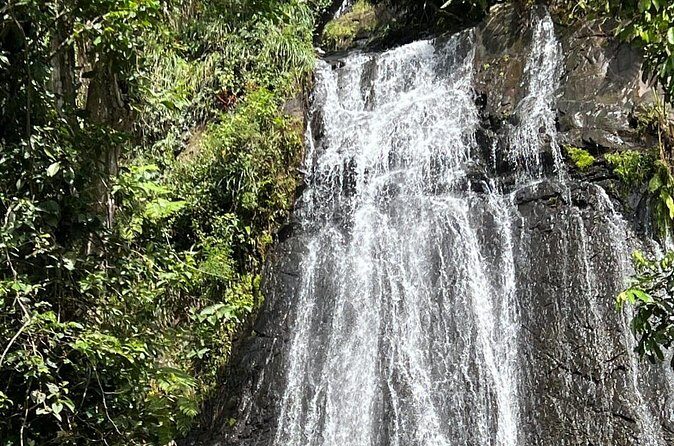 El Yunque Guided Experience! - FAQ