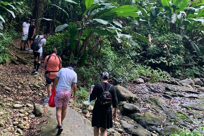 El Yunque National Forest and Luquillo Beach Combo - A Deep Dive into the Experience