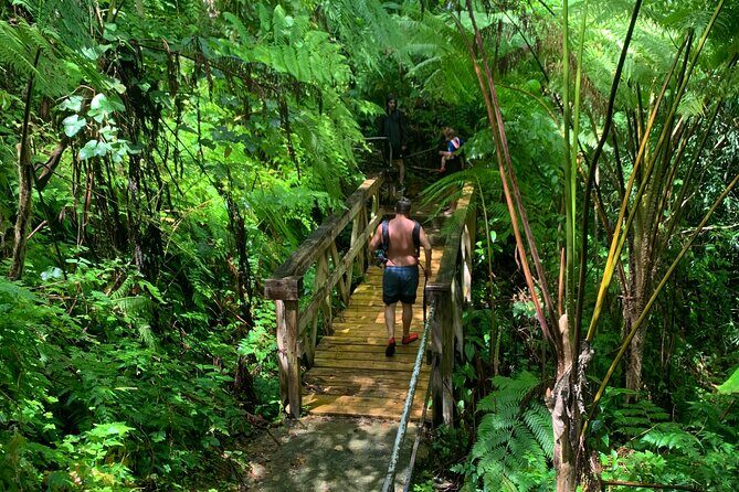 El Yunque National Forest and Luquillo Beach Tour - Exploring the Best of Puerto Rico: El Yunque and Luquillo Beach Tour