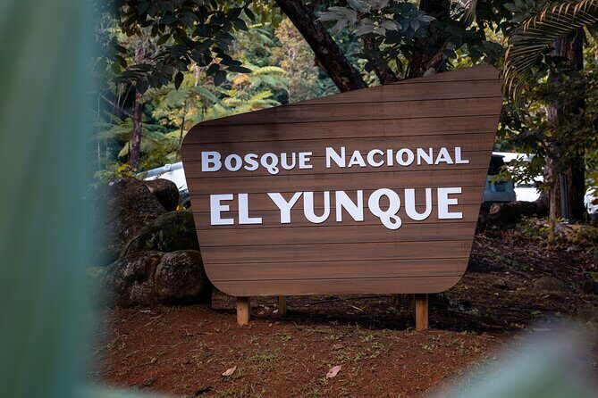 El Yunque Rainforest EZ-going Bus Tour (wheelchair accessible) - Exploring El Yunque Rainforest on a Comfortable, Accessible Bus Tour