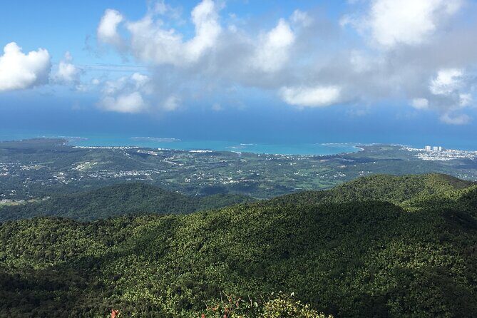 El Yunque Rainforest EZ-going Bus Tour (wheelchair accessible) - Why This Tour Offers Great Value