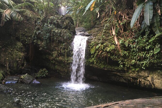 El Yunque Rainforest EZ-going Bus Tour (wheelchair accessible) - Who Should Consider This Tour?
