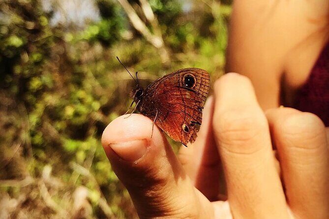 El Yunque Rainforest EZ-going Bus Tour (wheelchair accessible) - Frequently Asked Questions