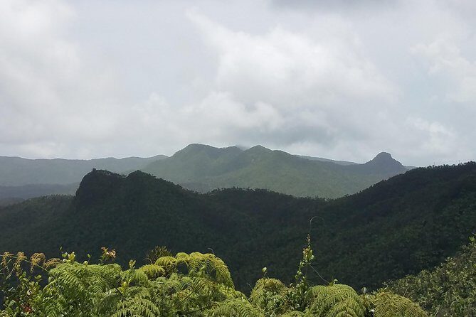 El Yunque Rainforest Full Day Private Tour - Frequently Asked Questions