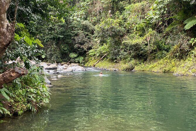 El Yunque Rainforest Guided Day Tour from San Juan - FAQs