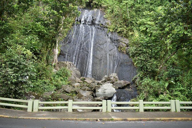 El Yunque Rainforest Guided Day Tour from San Juan - Final Thoughts