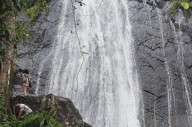 El Yunque Rainforest Guided Tour - Who Will Love This Tour?
