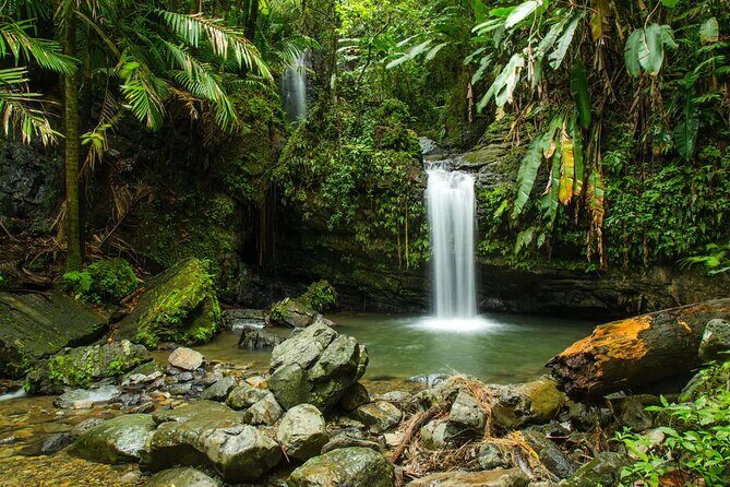 El Yunque Rainforest Guided Tour - FAQ