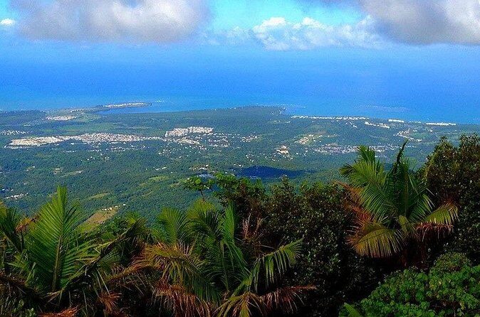 El Yunque Rainforest Guided Tour - Final Thoughts