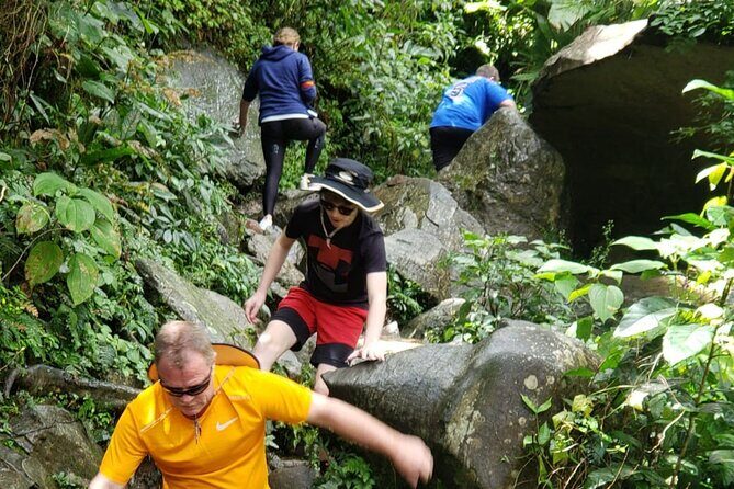El Yunque Rainforest Guided Tour - A Deep Dive into the El Yunque Rainforest Tour Experience