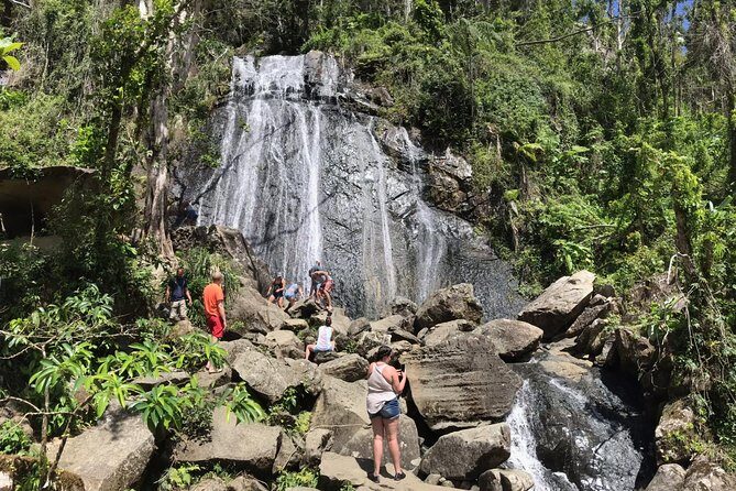 El Yunque Rainforest Hiking Tour from San Juan - An In-Depth Look at the El Yunque Rainforest Tour