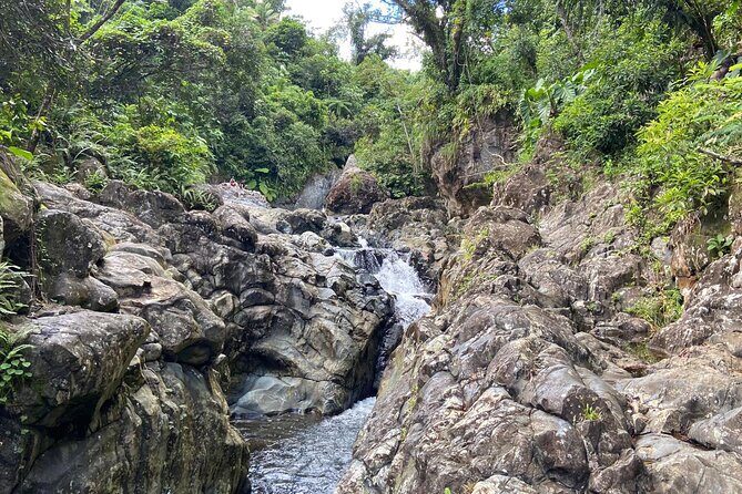 El Yunque Rainforest Morning River and Hike Adventure - Key Points