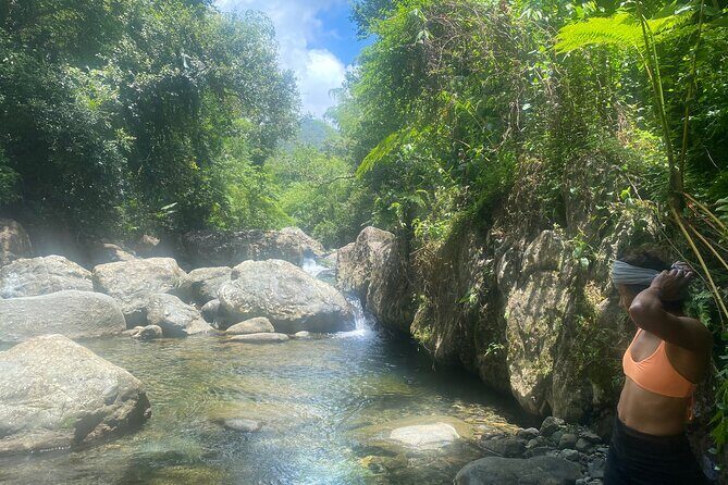 El Yunque Rainforest Morning River and Hike Adventure - Who Will Love This Tour?